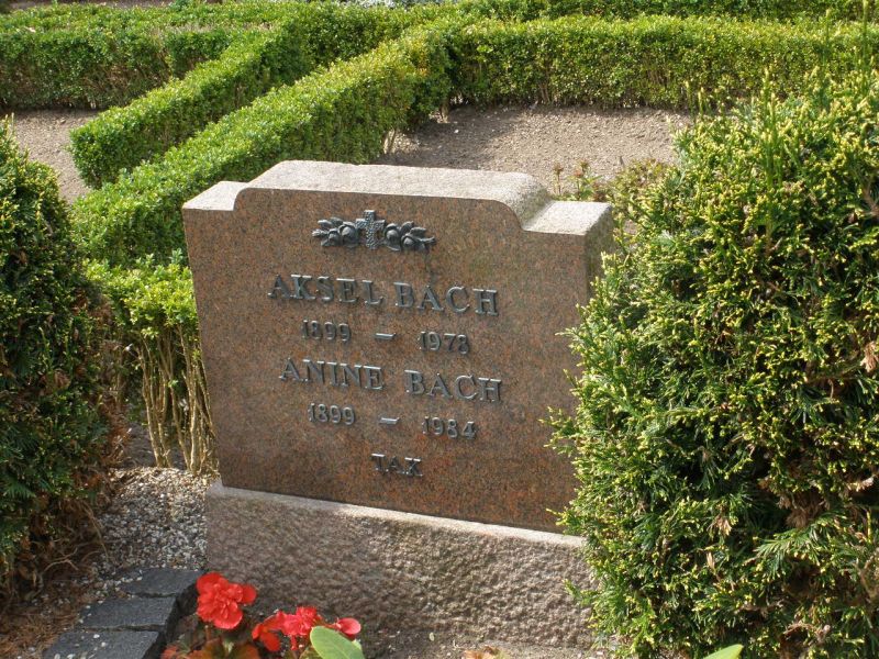 Anine Bach.JPG